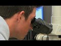 Calibration Services and Dimensional Inspection at Laboratory Testing Inc.