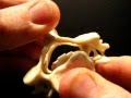 Dynamiczna stabilizacja