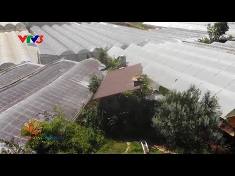 Thư viện lưu trữ hạt giống thuần chủng