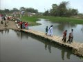 Baideshiya bandhu re, Ekbar uttar bangla ashiya jao,