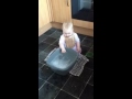 Funny baby cleaning the floor