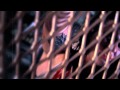 Rapper Big Pooh - They Say (feat. Choklate) Rapper Big Pooh - They Say (feat. Choklate)