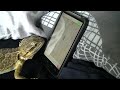 Bearded Dragon playing Ant Crusher
