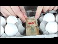 10 Crazy Pranks To Play On Your Friends And Family!