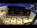Lot Polish Business Class 787 to Warsaw Poland