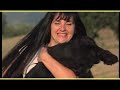 COCKER SPANIEL INGLESE trailer documentario