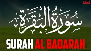 Surah Al Baqarah FULL سورة البقرة Sheikh Sohaib Hussain - English Translation