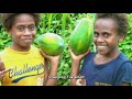 Manu Taï (Vanuatu traditionnal song)