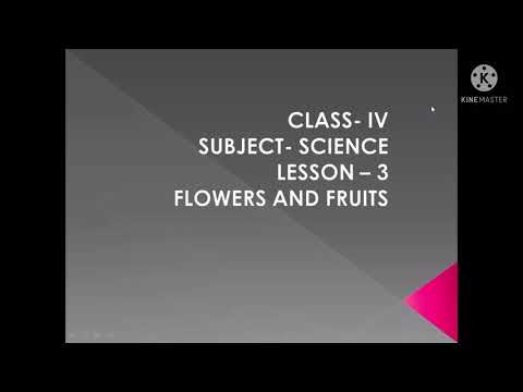Class 4 Science Lesson- 3 (Flowers and fruits) Part – 1