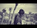 Peace Sign ft. Coeur de Pirate (Siberia Acoustic) - LIGHTS (HQ)