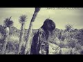 Peace Sign ft. Coeur de Pirate (Siberia Acoustic) - LIGHTS (HQ)