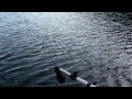 Freshwater Fishing in British Columbia, Canada