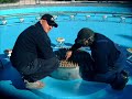 How to Make a Dancing Water Fountain. Italian big Fountains manufacturer