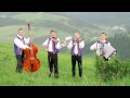 KOLLÁROVCI- DEDINô?KA- (Oficiálny videoklip) 7/2013 Obrázok autora