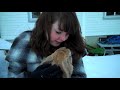 Rabbits playing in the snow!