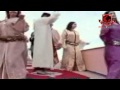 Radia Tazi - Ya Lamima - Chaabi 2012 HD - Image Nadia Laaroussi