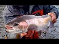 Scott Howell's Squidro Fly