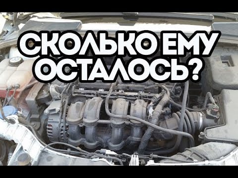 Почему стучит двигатель Форд Фокус?