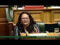 Marriage (Definition of Marriage) Amendment Bill - Third Reading - Part 2
