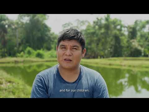 Experiencias de desarrollo alternativo: Jaime, piscicultor en la Amazonía