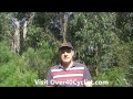Fix a Flat Tire. How to Fix a Flat Tire on a Road Bike