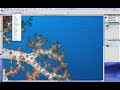 Backscatter Removal - Photoshop Magic Tools for the Underwater Photographer