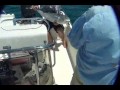 Flats fishing 0001