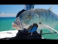 Flats fishing 0001