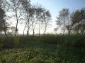 bannu mamakhel