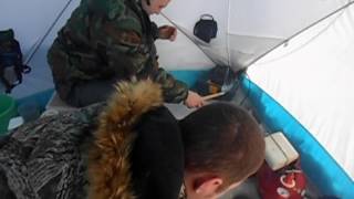 ловля чебака в глухозимье особенности ловля чебака в глухозимье особенности