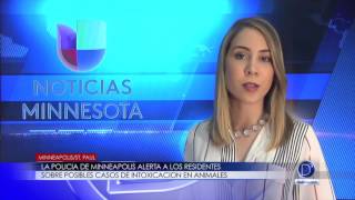 La policía de Minneapolis alerta a los residentes sobre posibles casos de intoxicación en animales
