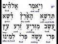 13 Torah Reading - Gen 1:11 - Verbs 13 Torah Reading - Gen 1:11 - Verbs