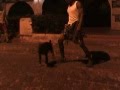 UN JOVEN COJE EL PERRO EN LA PIERNA