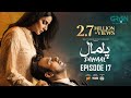 Pamaal Episode 17 (Subtitles) 1st Dec 25  Digitally Jazz, Happilac, Jhalak Beauty Cream  Green TV
