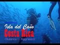 Okeanos Aggressor - Cano Island, Costa Rica | 