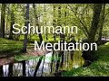 Schumann Resonance Meditation | Earth Resonance | grounding | Isochronic Tones | Binaural Beats