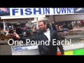 One 1 Pound Fish Song Video With Lyrics