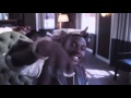 Versace Migos ft Drake, Meek Mill & Tyga Explicit