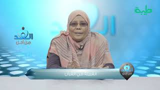 من أجل الغد | مع الدكتورة نجوى عبد اللطيف | بعنوان القبيلة في القرآن