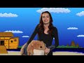 Felicia Day, Naughty Bear, and Banjo Kazooie! - Felicia's Ark: Bears