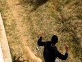 El perro coje muelones