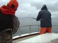 HOMER ALASKA, HALIBUT BOUNTY SECOND DAY MIDNIGHT SUN CHARTERS
