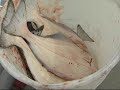 HOMER ALASKA, HALIBUT BOUNTY SECOND DAY MIDNIGHT SUN CHARTERS
