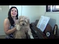 HOW TO: Use A Metronome & How it Works