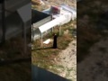 Видео о том как поп звонит в колокол и играет в телефон