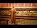 Shaolin Kung Fu - Shaolin Master Shi De Yang in Spain