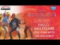 Hailo Hailessare Song With Telugu Lyrics|Shatamanam Bhavati|Sharwanand,Anupama,Mickey J Meyer