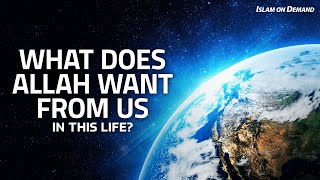 What Does Allah Want From Us in This Life? - Ayden Zayn