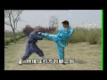 36 Qin Na and Techniques of Shaolin Kung fu