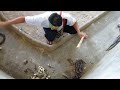 Cleaning the cobra pit